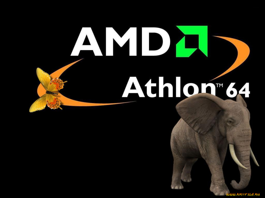 , amd
